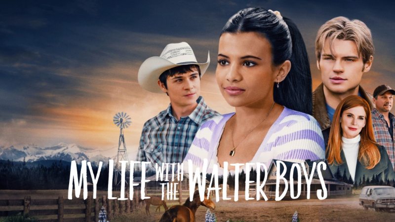 My Life with the Walter Boys - Vj Soul